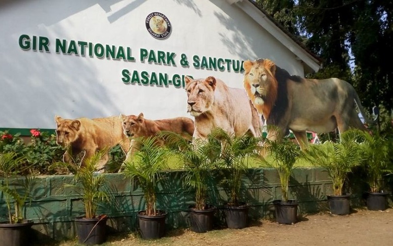 Sasan gir